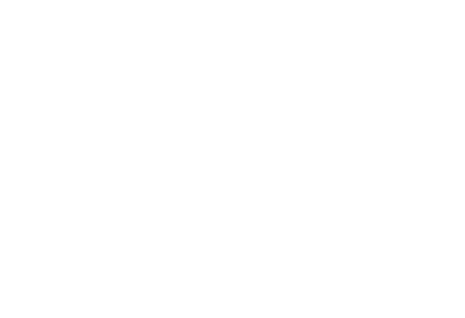 TOPARADI