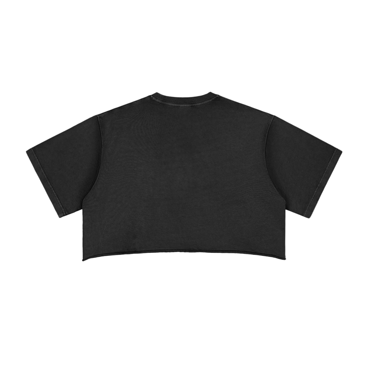 Moon Oath | Snow Washed Raw Edge Crop Top